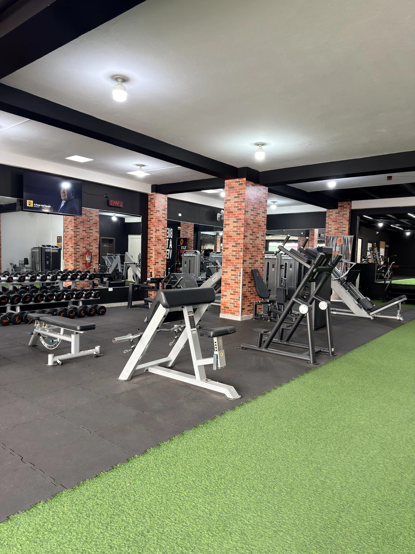 Máquinas de fuerza y zona de pesas de Silverback Gym